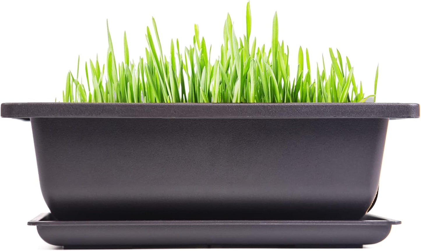 Bonsai Pots with Tray – 3pcs Plastic Planters with Mesh & Drain Holes for Indoor Plants