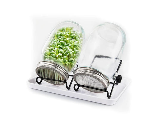 C Crystal Lemon Sprouting Jar Kit – 32oz Glass Jars with Screen Lids & Drip Tray – Indoor Grow Kit for Microgreens, Alfalfa, Beans, and Broccoli