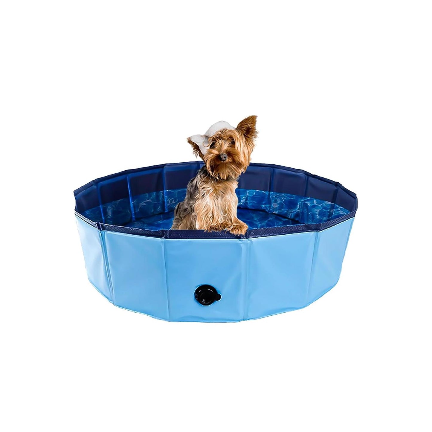 Foldable Pet Bathtub for Small Dogs & Kids - 31.5 x 7.87 Inch Hard Plastic Collapsible Kiddie Pool - Indoor/Outdoor Versatile Tub for Bathing