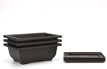 3 Pack, Bonsai Pots, Bonsai Tree Pots with Trays - Built in Mesh, Six Inch Large Planters Durable Shatter Proof Poly-Resin