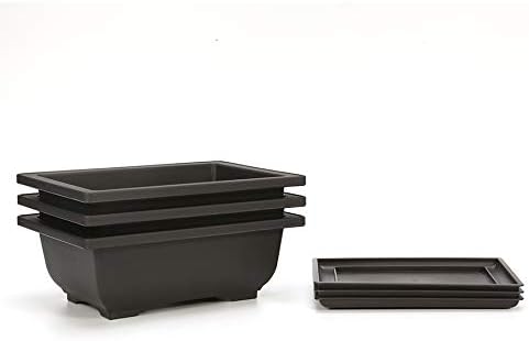 3 Pack, Bonsai Pots, Bonsai Tree Pots with Trays - Built in Mesh, Six Inch Large Planters Durable Shatter Proof Poly-Resin
