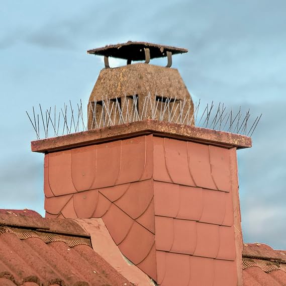 C Crystal Lemon Stainless Steel Bird Spikes – Durable Deterrent Strips for Pigeons, Crows, and Squirrels – Outdoor Use,