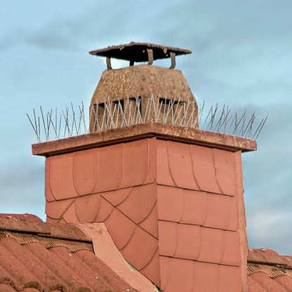 C Crystal Lemon Stainless Steel Bird Spikes – Durable Deterrent Strips for Pigeons, Crows, and Squirrels – Outdoor Use,