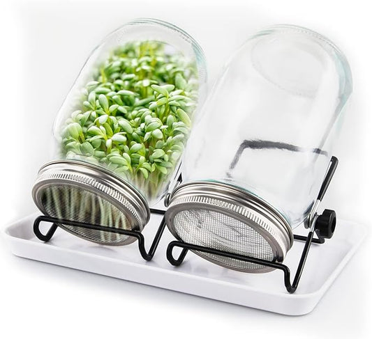 Sprouting Kit with Glass Jars, Screen Lids, Jar Stands, and Drip Tray