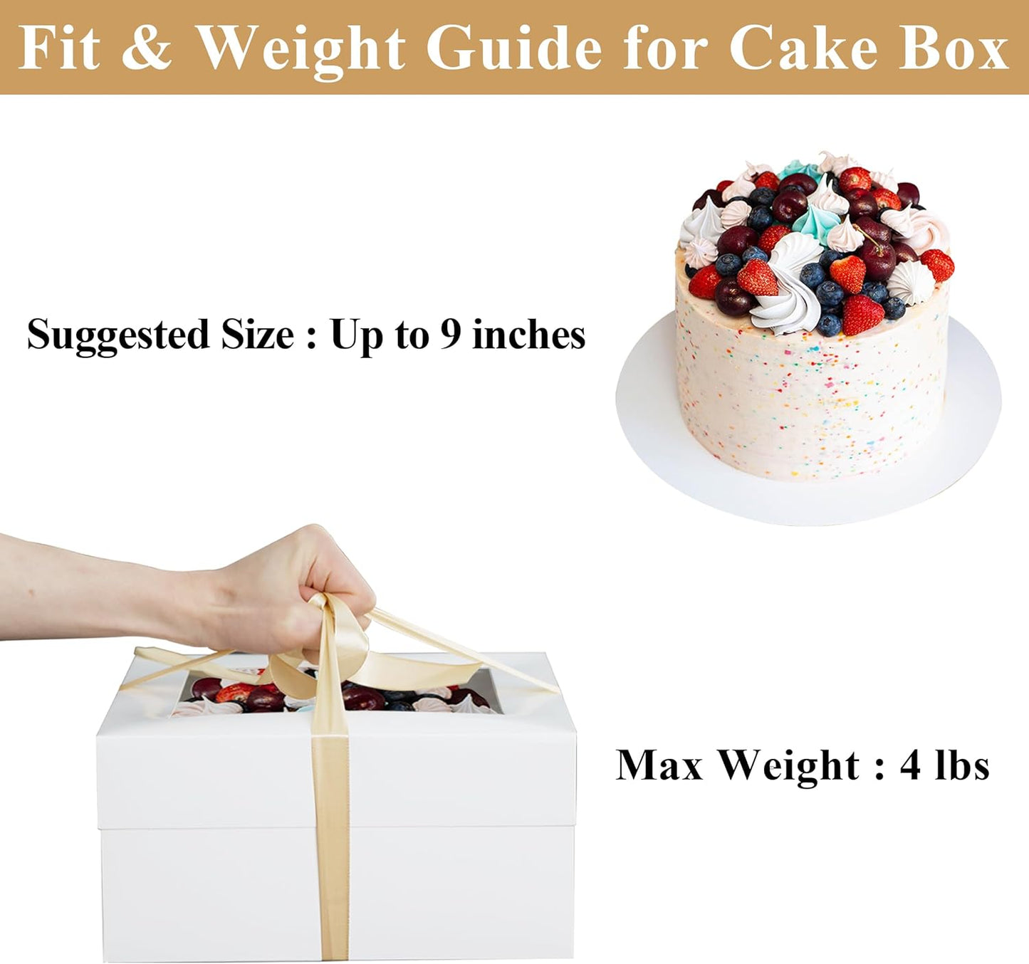Crystal Lemon 10 Inch Cake Boxes with Window – Set of 5 Gift Boxes with Base & Ribbon for Bakery